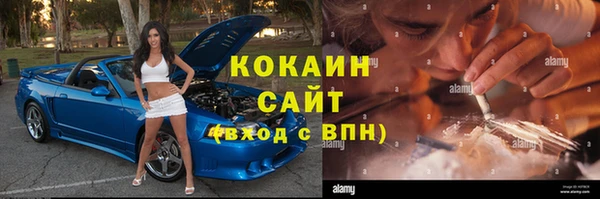 прущие крисы Бородино