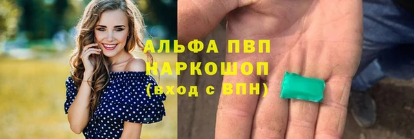 прущие крисы Бородино