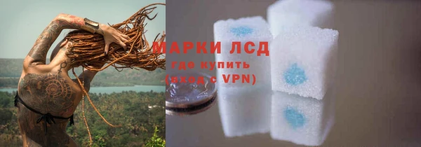 прущие крисы Бородино