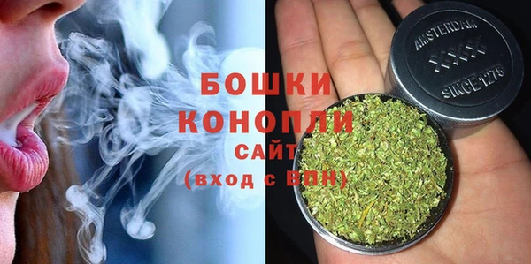 индика Богданович