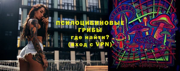 молекула духа Богородск