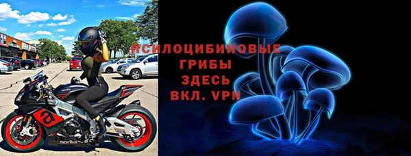 spice Богородицк