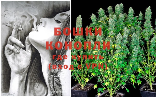 прущие крисы Бородино